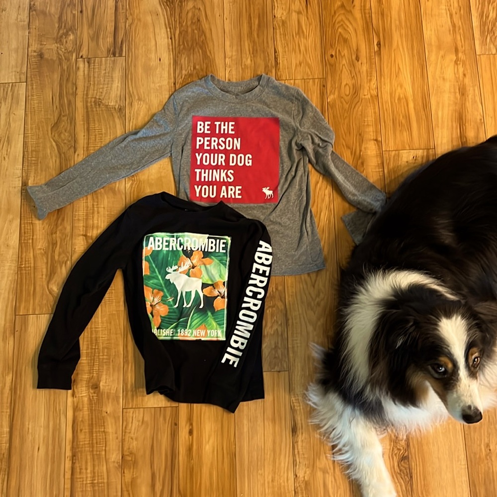 Abercrombie Kids (2) long sleeve shirts size 9/10. One gray and one black.